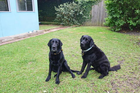 GERR14C - Salty Dog - Maitland Accommodation 3
