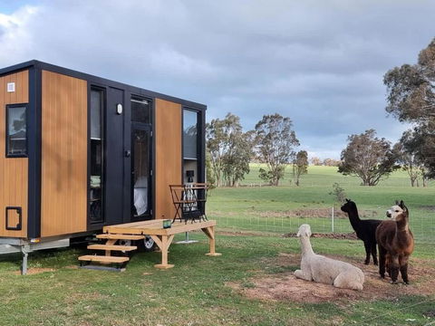 Grampians Views Moyston By Tiny Away - Maitland Accommodation 0