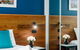 Hunter Studios - Maitland - thumb 3