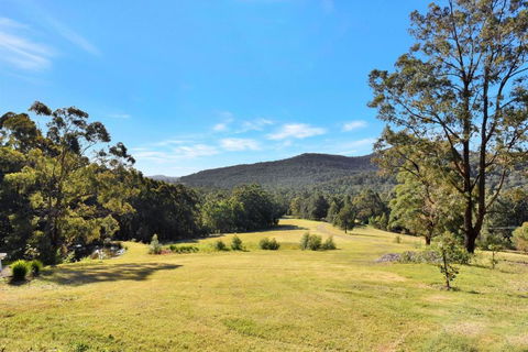 Hunter Valley Kangaroo Retreat With 60 Kangaroos - Maitland Accommodation 1