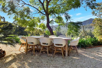 Hunter Valley Kangaroo Retreat With 60 Kangaroos with Maitland Accommodation