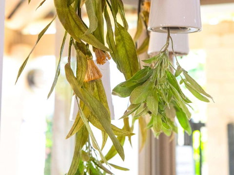 Ibis Styles Karratha - Maitland Accommodation 2