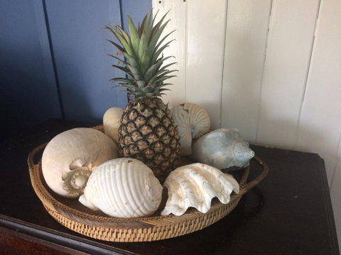 Ahoy Cottage - Maitland Accommodation 2