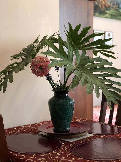 Albany Foreshore Guest House - Maitland Accommodation 3