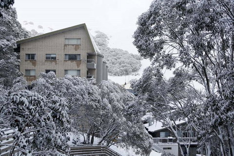 Alpine View Apartments - Maitland Accommodation 0
