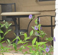 Amalie Cottage Waikerie - Maitland Accommodation