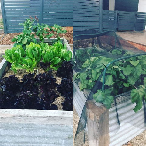 AMs Farm Stay - Maitland Accommodation 3