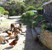 Anchorage Apartments - Maitland Accommodation