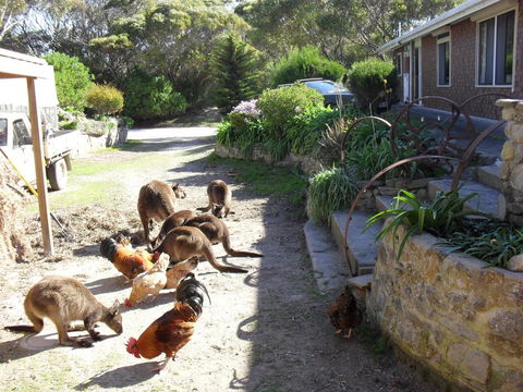 Anchorage Apartments - Maitland Accommodation 0