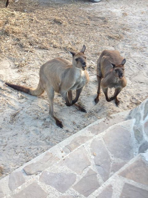 Anchorage Apartments - Maitland Accommodation 1