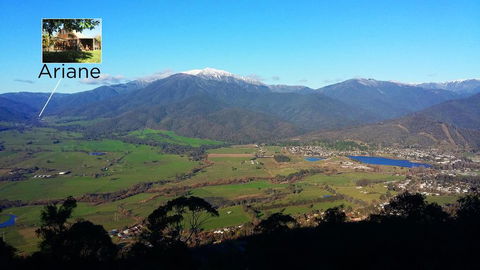 Ariane - Maitland Accommodation 2