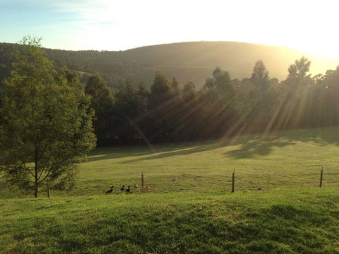 Arjuna Ridge Bed And Breakfast - Maitland Accommodation 0
