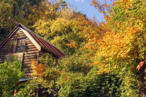 Arnica Views Summit Retreat - Maitland Accommodation 2