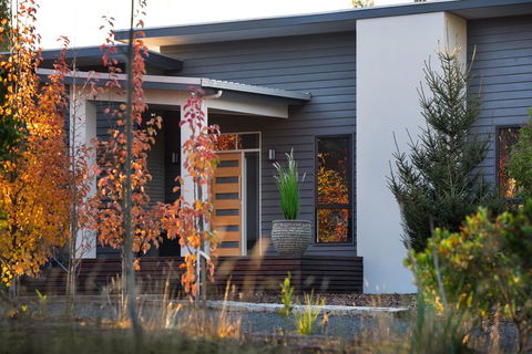 Arya - Maitland Accommodation 1