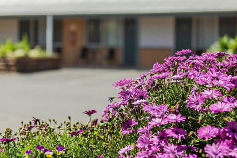 Maffra Motor Inn - Maitland Accommodation 1