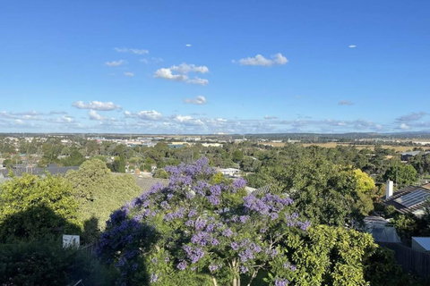 Morwell Pet Friendly 3BR Retreat Free Parking Netflix - Maitland Accommodation 1