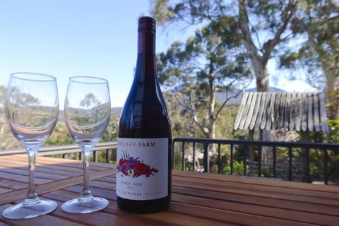 Mountains And Treetops Retreat - Nature Getaway - Maitland Accommodation 2