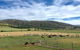 Old Entally Farm - thumb 1