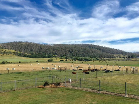 Old Entally Farm - Maitland Accommodation 1