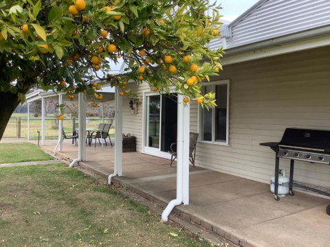 Orange Tree Cottage - Maitland Accommodation 0