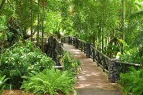 Paddington Pad With Back Deck And Free Car Space Close To Suncorp - Maitland Accommodation 2