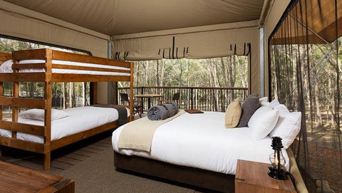 Paradise Country Farmstay - Maitland Accommodation 1