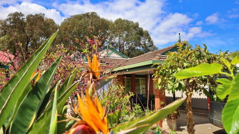 ParkViewAtMontagueFarm - Maitland Accommodation 0