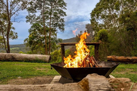 Personal Sauna & Ice-bath At Kookaburra Cabin - Maitland Accommodation 2