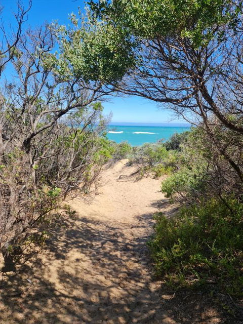 PIECE OF PARADISE, Huge 4 Bedroom Haven - Maitland Accommodation 0