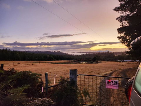 Pine Edge Heights By Tiny Away - Maitland Accommodation 2