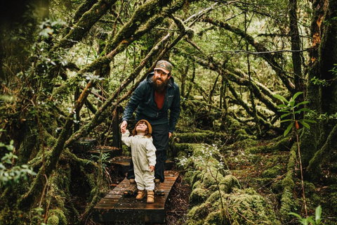 Pine Edge Heights By Tiny Away - Maitland Accommodation 3