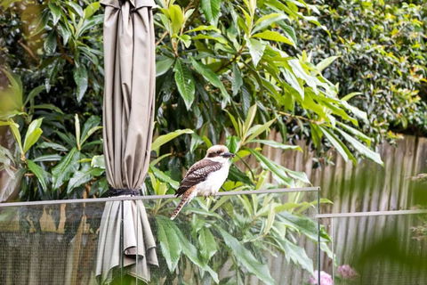 Quaint Queen Room - Central Location At Pymble - Shared Bathroom - Maitland Accommodation 1