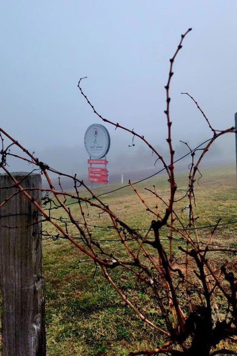 Red Door Collective - RDC Vineyard Estate, Luxury Adult Only Stay - Maitland Accommodation 3