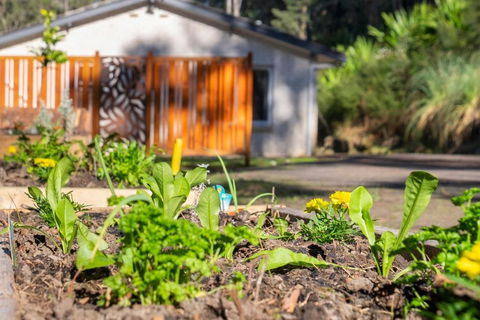 Pure Valley Estate - Maitland Accommodation 3