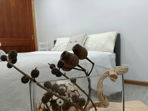 Quiet Nature-Filled Ground Floor Unit - Maitland Accommodation 1