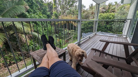 Rainforest Deluxe Bungalow - Maitland Accommodation 0