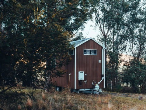 Raintree Farmstay By Tiny Away - Maitland Accommodation 1