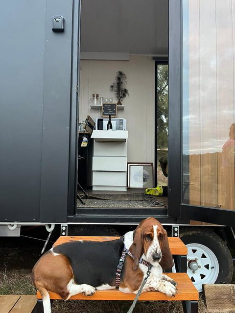 Red Gum At Aranya Acres By Tiny Away - Maitland Accommodation 3