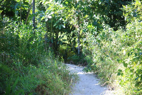 Backpackers Inn On The Beach - Maitland Accommodation 2