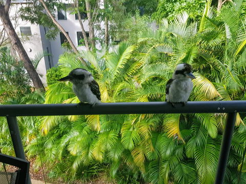 Baden 45 - Rainbow Shores, Beachside Unit, Aircon, Swimming Pool, Tennis Court - Maitland Accommodation 3