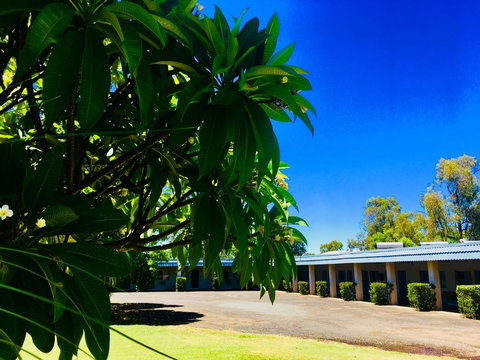 Balonne River Motor Inn - Maitland Accommodation 0