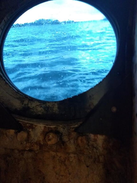 Baragoola - Maitland Accommodation 1