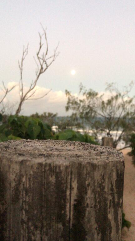 Barefootbeach Shack - Maitland Accommodation 2