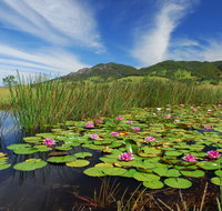 Barrington Hideaway- River Cottages - Maitland Accommodation