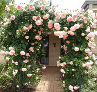 Baudins of Busselton Bed and Breakfast - Maitland Accommodation