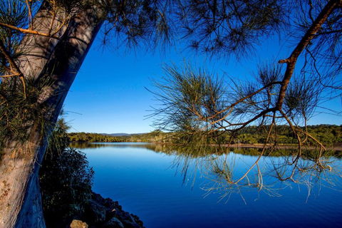 Reflections Ferry Reserve - Holiday Park - Maitland Accommodation 2