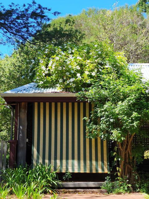 Redgum Hill Country Retreat - Maitland Accommodation 3
