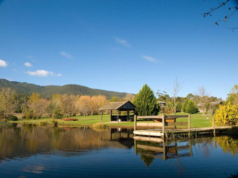 Sanctuary Park Cottages - Maitland Accommodation 0