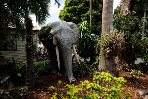 Sarina Palms Caravan And Cabins Village - Maitland Accommodation 3