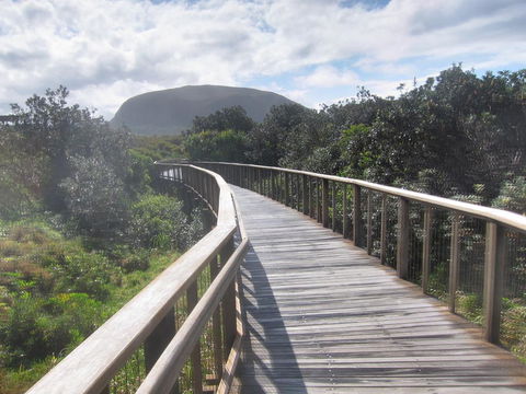 Beachside Family Entertainer - Free WIFI - Linen Included - Maitland Accommodation 1